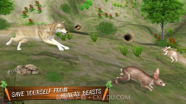 终极兔子模拟器截图3 终极兔子模拟器截图3