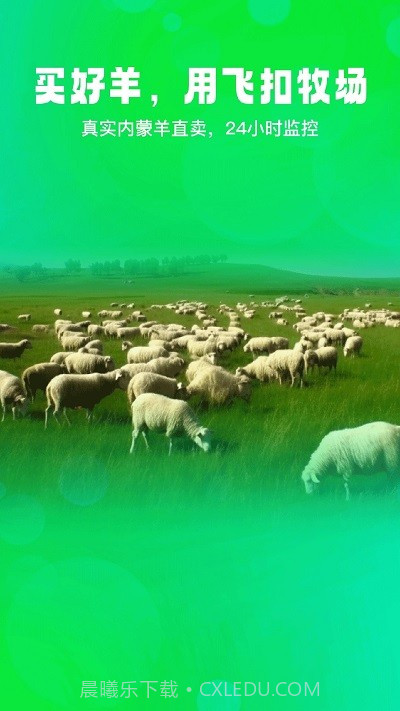 飞扣牧场截图4