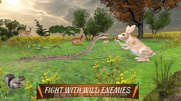 终极兔子模拟器截图2 终极兔子模拟器截图2