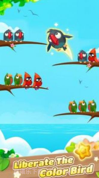 彩色鸟排序截图2