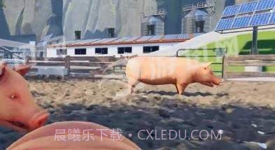 自己是一只猪截图1 自己是一只猪截图1