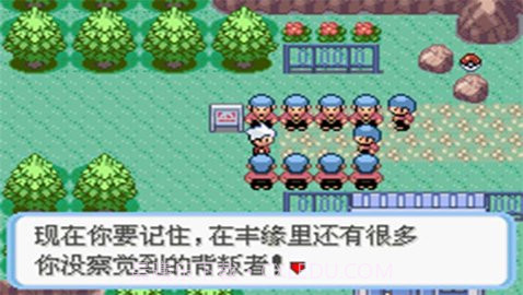 口袋妖怪：蛇纹木截图1