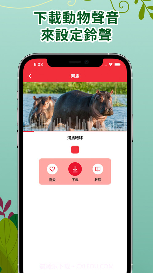 动物声音铃声截图5
