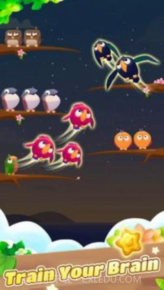 彩色鸟排序截图1