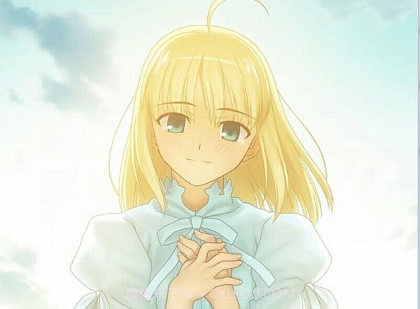 fate命运之夜截图2 fate命运之夜截图2