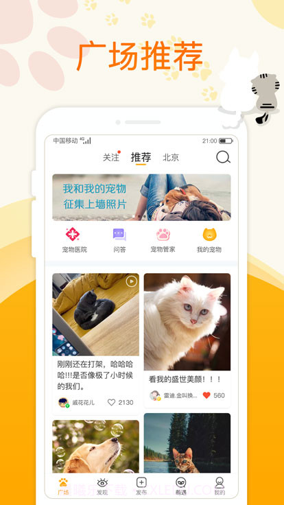 萌宠大陆截图1 萌宠大陆截图1