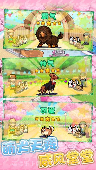 发现狗狗乐园截图2 发现狗狗乐园截图2