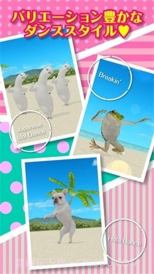 一个跳舞的羊驼截图1 一个跳舞的羊驼截图1