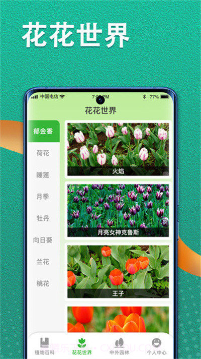 植物视界截图1 植物视界截图1
