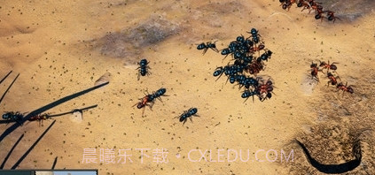 地下蚁国截图1 地下蚁国截图1