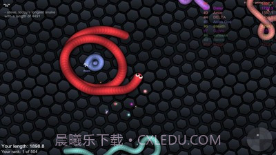 球球大作战贪吃蛇截图4 球球大作战贪吃蛇截图4