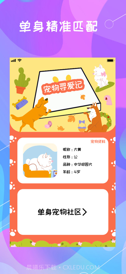 宠物寻爱记截图1