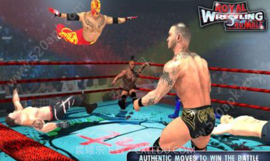 皇家摔跤2K18截图1