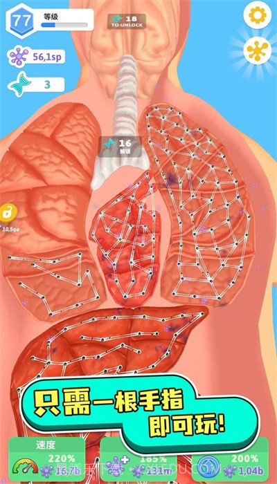 人体测试人体细胞连接截图1 人体测试人体细胞连接截图1
