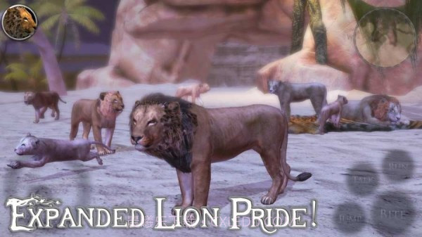 终极狮子模拟器2截图2 终极狮子模拟器2截图2