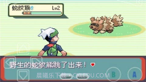 口袋妖怪宝石截图2 口袋妖怪宝石截图2