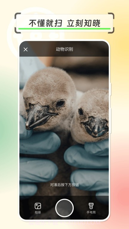 拍物轻松识截图4 拍物轻松识截图4