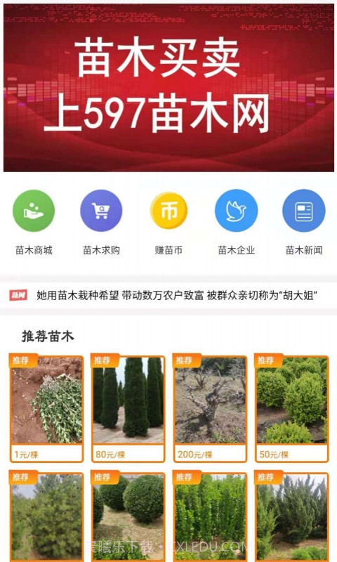 597苗木网截图3 597苗木网截图3