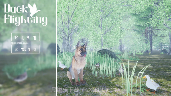 打鸭子模拟器2021Duck Flight Simulator 2021截图1