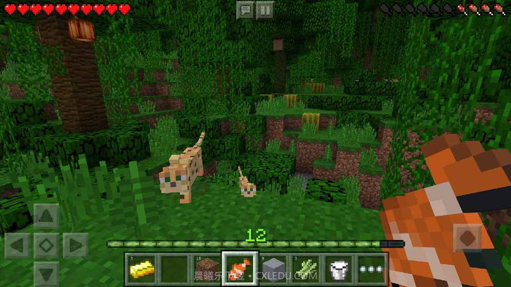 我的世界1.11.0.6基岩版截图2