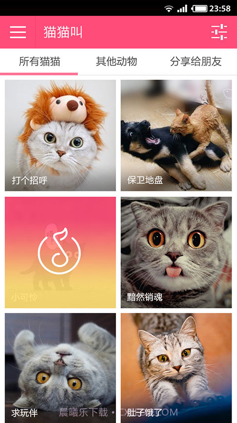 猫猫叫截图4 猫猫叫截图4
