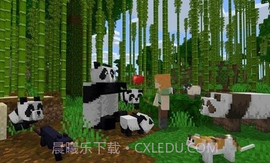 我的世界国际版1.17.34.02截图3 我的世界国际版1.17.34.02截图3