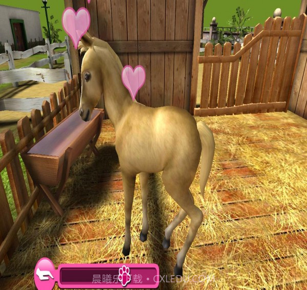 宠物世界3D我的动物救援内购版截图2