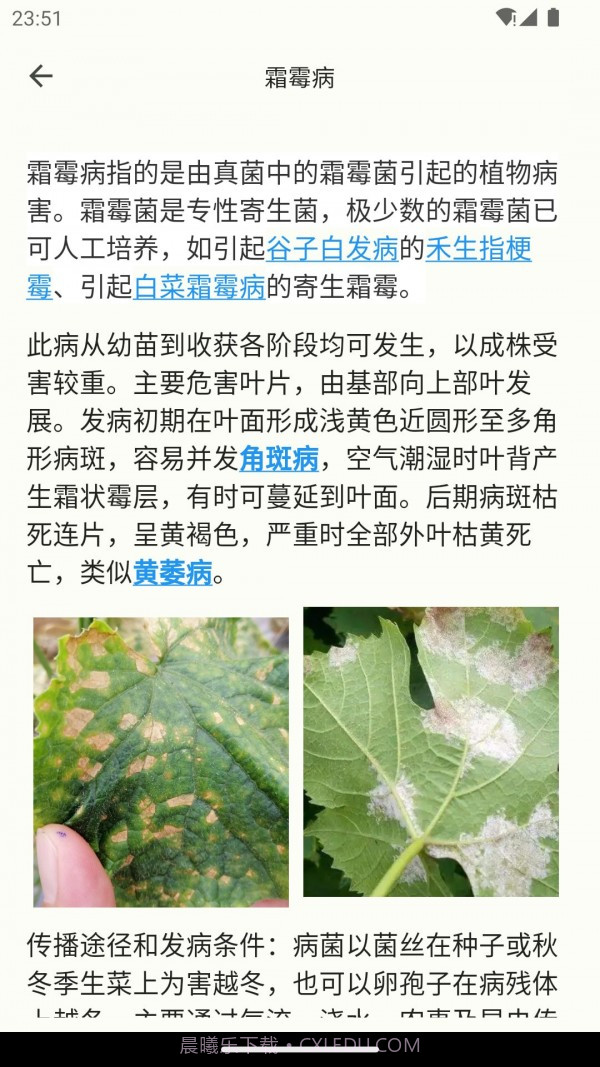 鱼菜记截图4 鱼菜记截图4