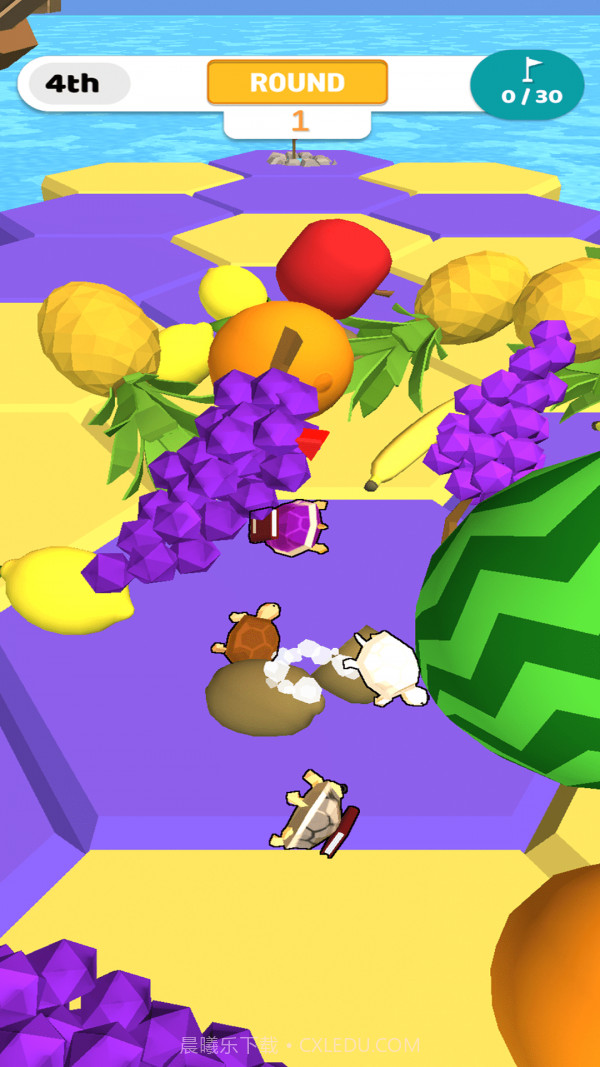 乌龟赛跑淘汰赛截图4 乌龟赛跑淘汰赛截图4