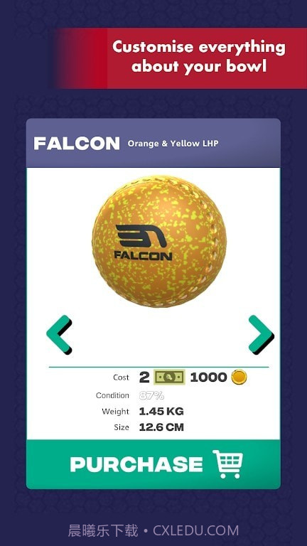 虚拟室内球截图1 虚拟室内球截图1