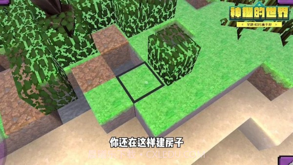 神秘的世界截图2 神秘的世界截图2