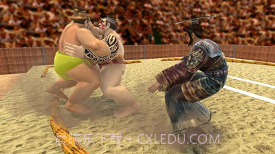 相扑超级巨星截图1