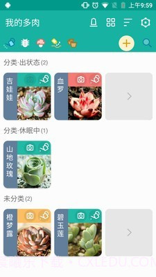 多肉成长记截图2 多肉成长记截图2
