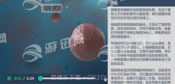 细菌互动教育官网版截图3