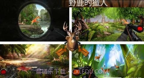 野生鹿狩猎截图5 野生鹿狩猎截图5