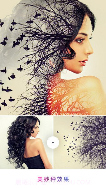 photo lab手机版截图1