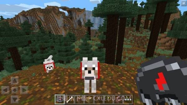 minecraft国际基岩版截图4 minecraft国际基岩版截图4