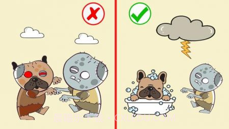 拯救狗狗们截图1 拯救狗狗们截图1