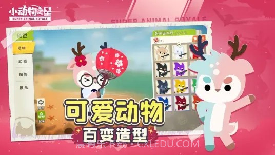 小动物之星b站截图4 小动物之星b站截图4