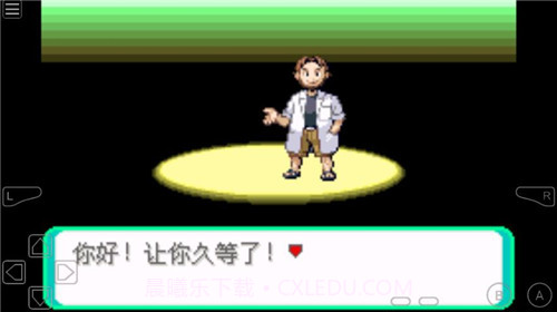 口袋妖怪光之魄截图3