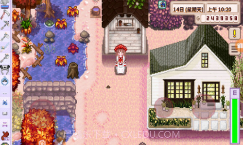 星露谷物语法师结婚mod截图3 星露谷物语法师结婚mod截图3