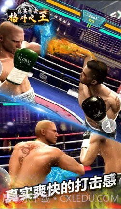 真实拳击格斗之王截图2