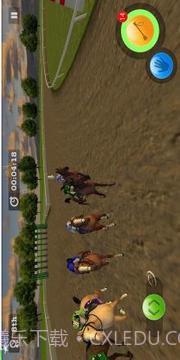 Derby Horse Quest截图4