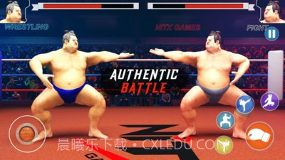 日本相扑赛截图4