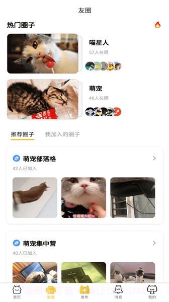 友猫社区手机版截图2 友猫社区手机版截图2