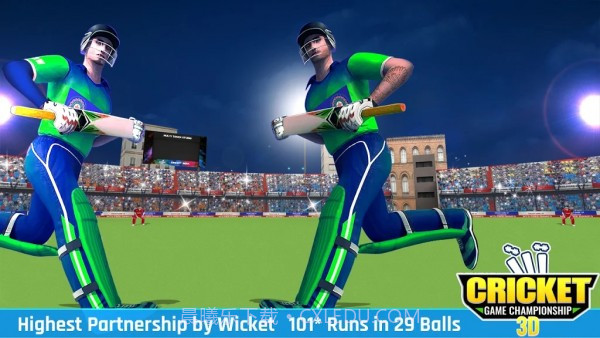 板球比赛冠军3D截图3