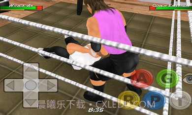 摔角革命3D修改版截图4 摔角革命3D修改版截图4