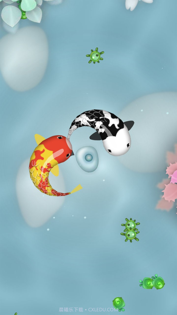 禅宗锦鲤截图5 禅宗锦鲤截图5