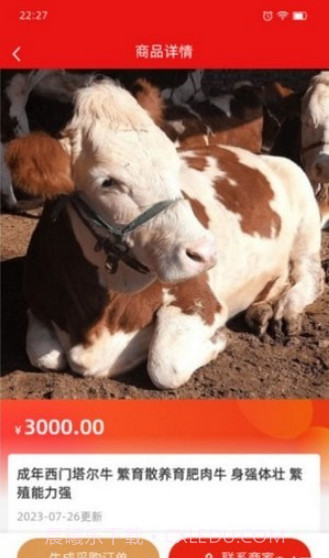 肉牛网截图3 肉牛网截图3