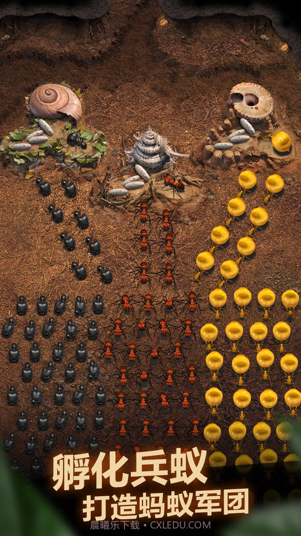 小小蚁国截图3 小小蚁国截图3